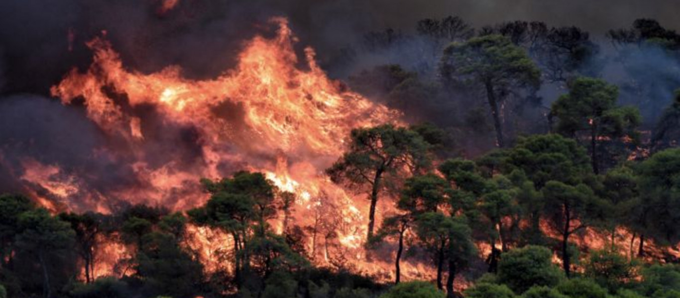 Κορινθία: Σε εξέλιξη η φωτιά στην περιοχή Σοφικού